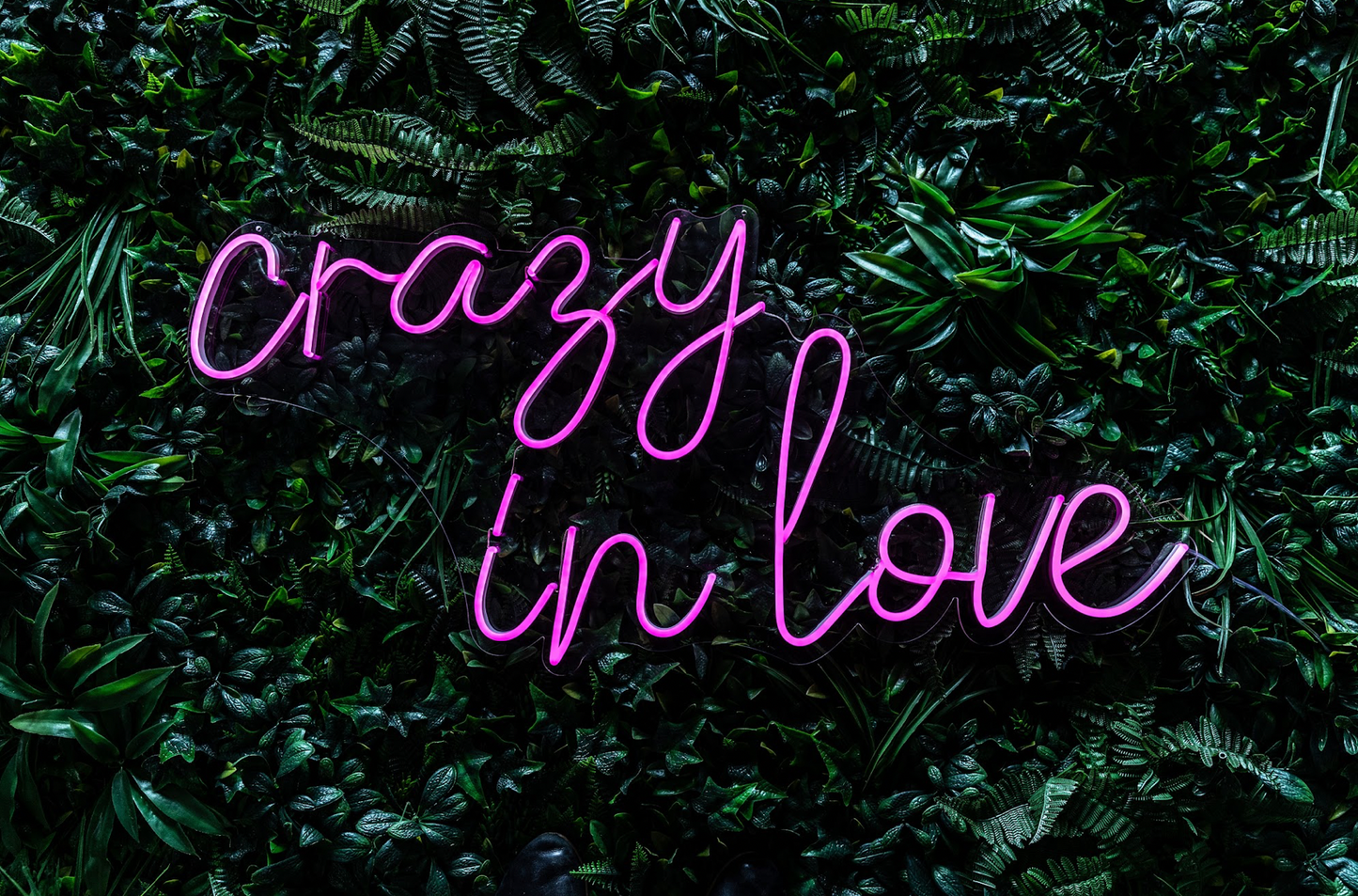 Crazy in Love Neon Sign